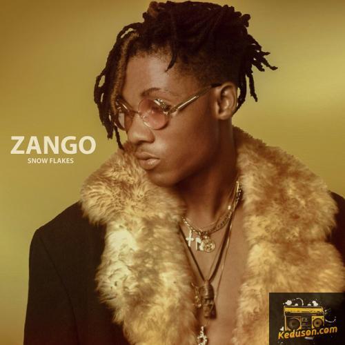 Snow Flakes - Zango