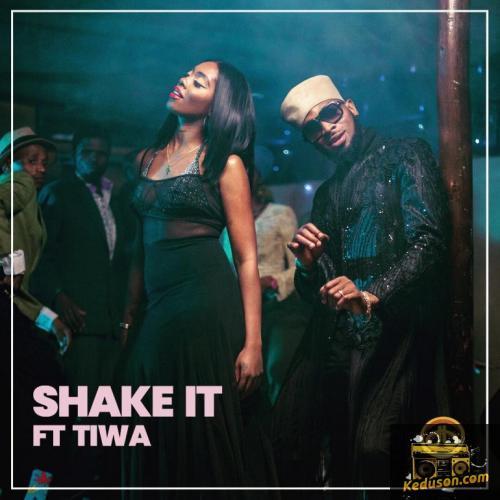 D'Banj - Shake It (feat. Tiwa Savage)