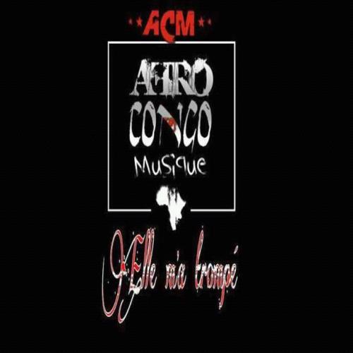 Afro congo music