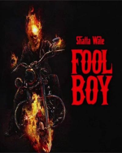 Shatta Wale - Fool Boy (Diss To Buffalo Souljah)