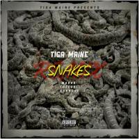 Tiga Maine Snakes Remix (Ft. Marka, TheeOri & ROBNORI) artwork