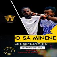 Mzi O Sa Minene (feat. Tonton Anthony) artwork