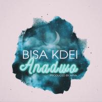 Bisa K'Dei Anadwo artwork