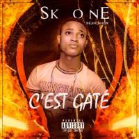 SK ONE C'EST GATE artwork