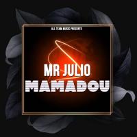 Mr Julio Mamadou artwork