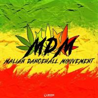 MDM (Malian Dancehall Mouvement) Link Up (Feat Le Fou) artwork