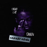 Omah Lay Damn (Cricket Remix) artwork