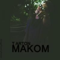 T Arton Makom artwork