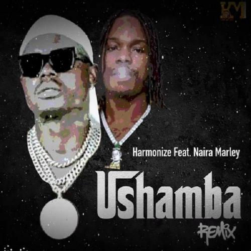 Harmonize - Ushamba (Remix) [feat. Naira Marley]