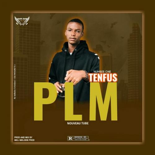 Tenfus - PLM