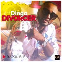Dinga Divorcer artwork
