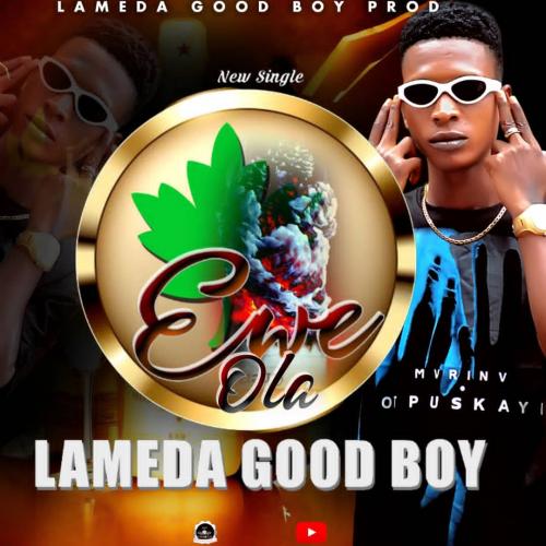 Lameda Good Boy - Ewe Ola