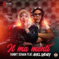 Fanny Senan Il m'a menti (feat. Ariel Sheney) artwork