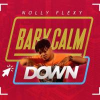 Nolly Flexy Baby Calm Down artwork