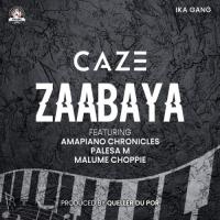 CaZe Zaabaya (feat. Amapiano Chronicles, Malume Choppie, Palesa M) artwork