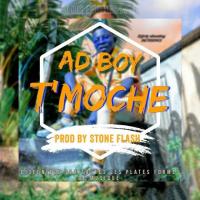 Ad Boy T'Moche artwork