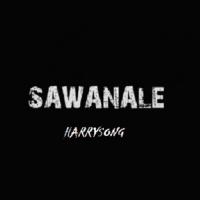 Harrysong Sawanale artwork