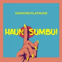 Diamond Platnumz Haunisumbui artwork