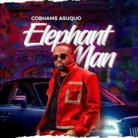 Cobhams Asuquo Elephant Man artwork