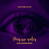 Kizz Daniel Pour me water (Ku3h Amapiano Remix) [feat. DJ Kush] artwork