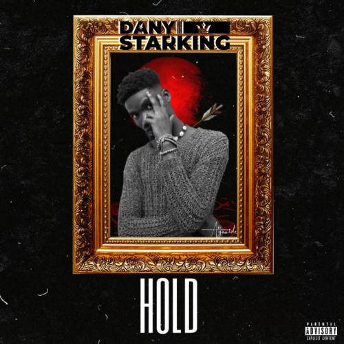 Dany Starking - Hold