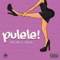 Kofi Mole Pulele (feat. Medikal) artwork