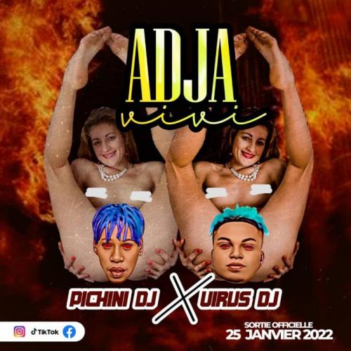 DJ Pichini - Adja Vivi (feat. DJ Virus)