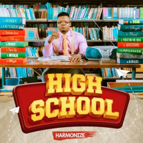 Harmonize - High School