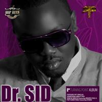 Dr Sid Pop Something (feat. D'Banj) artwork