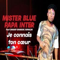 Mister Blue Papa Inter Je connais ton coeur (feat. Shaggy Sharoof, R9 Ronaldo) artwork
