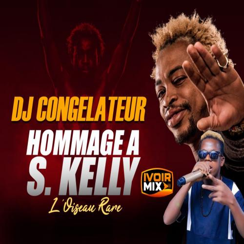 DJ Congélateur - Hommage à S Kelly