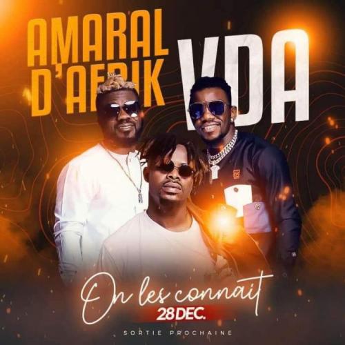 Amaral d'Afrik - On les connait (feat. VDA)