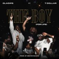 Oladips The Boy (feat. T Dollar) artwork