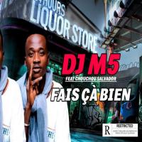 Dj M5 Fais ça Bien (feat. Chouchou Salavdor) artwork