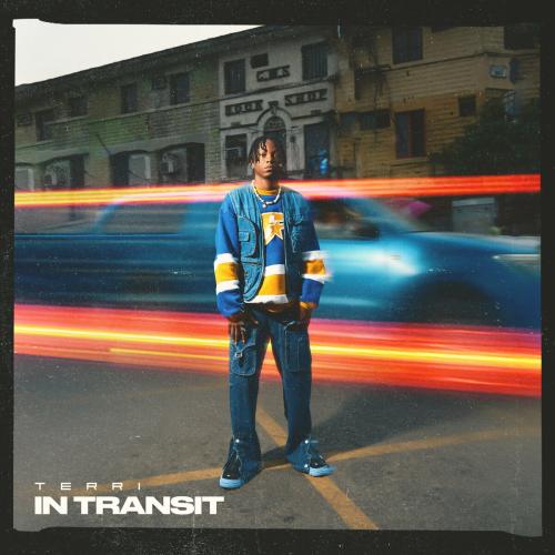 Terri In Transit album cover