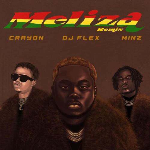 DJ Flex - Meliza (feat. Crayon & Minz)