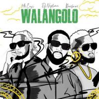DJ Neptune Walangolo (feat. Mr Eazi & Koshens) artwork