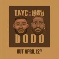 Tayc D O D O (feat. Adekunle Gold) artwork