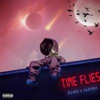DFG Kess Time Flies (feat. Sylva Keys) artwork