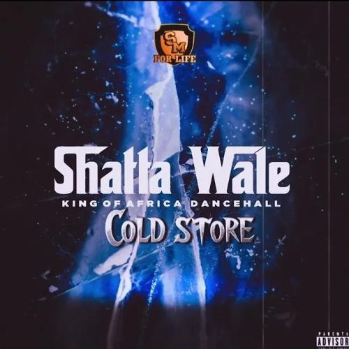 Shatta Wale - Cold Store