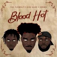 Dremo Blood Hot (feat. Kida Kudz & The Flowolf) artwork