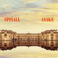 DJ Spinall Palazzo (feat. Asake) artwork