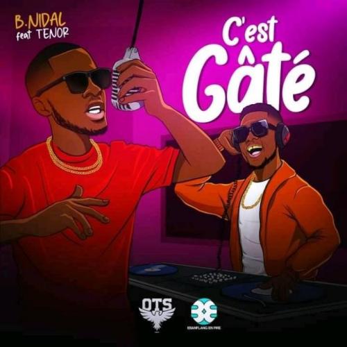 B Nidal - C'est Gate (feat. Tenor)
