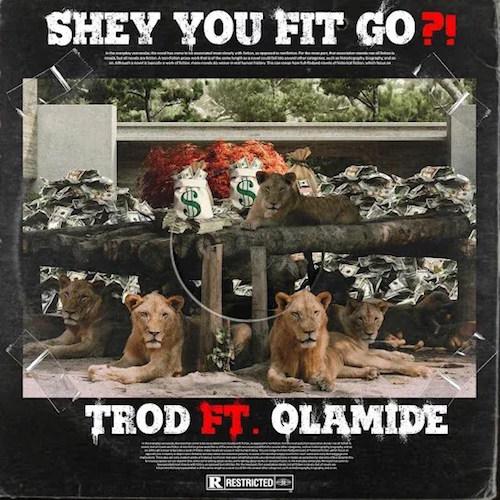 Trod - Shey You Fit Go? (feat. Olamide)
