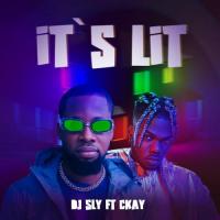 DJ Sly It's Lit (feat. Ckay) artwork