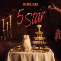 Adekunle Gold 5 Star artwork