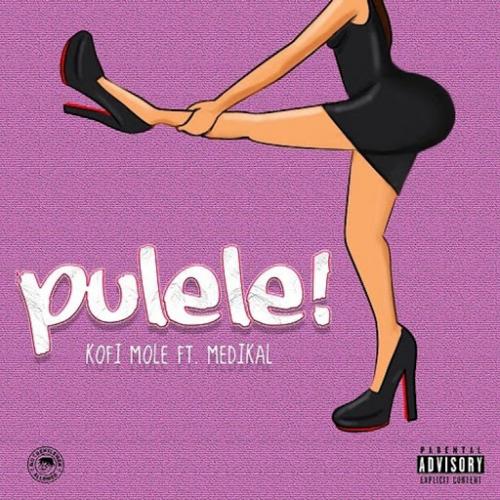 Kofi Mole - Pulele (feat. Medikal)