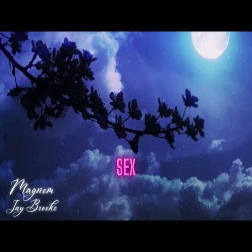 Magnom - Sex All Night (feat. Jay Brooks)