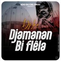 DJ Leo Djamanan Bi Flêla artwork
