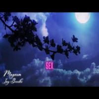 Magnom Sex All Night (feat. Jay Brooks) artwork